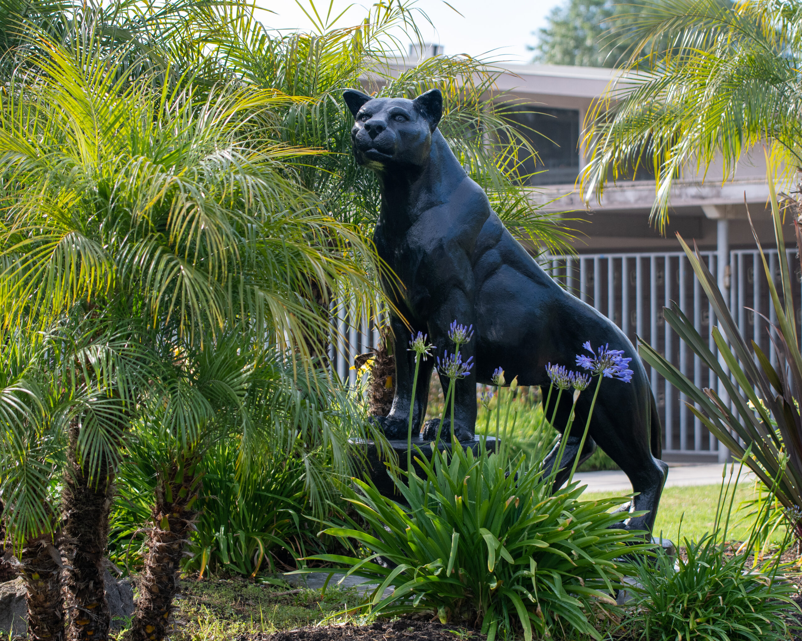 Statue of school mascot, a panther